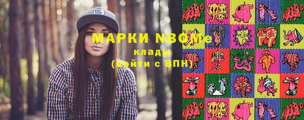 шишки Балахна