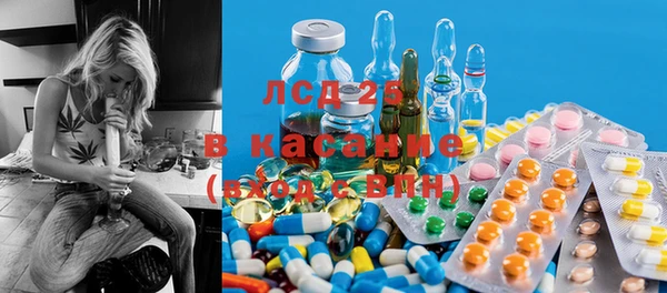 мяу мяу мука Баксан