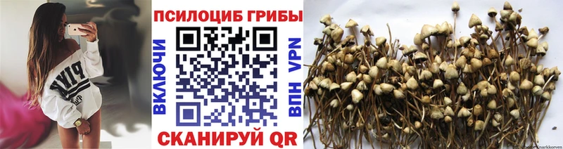 Псилоцибиновые грибы Magic Shrooms  Ворсма 